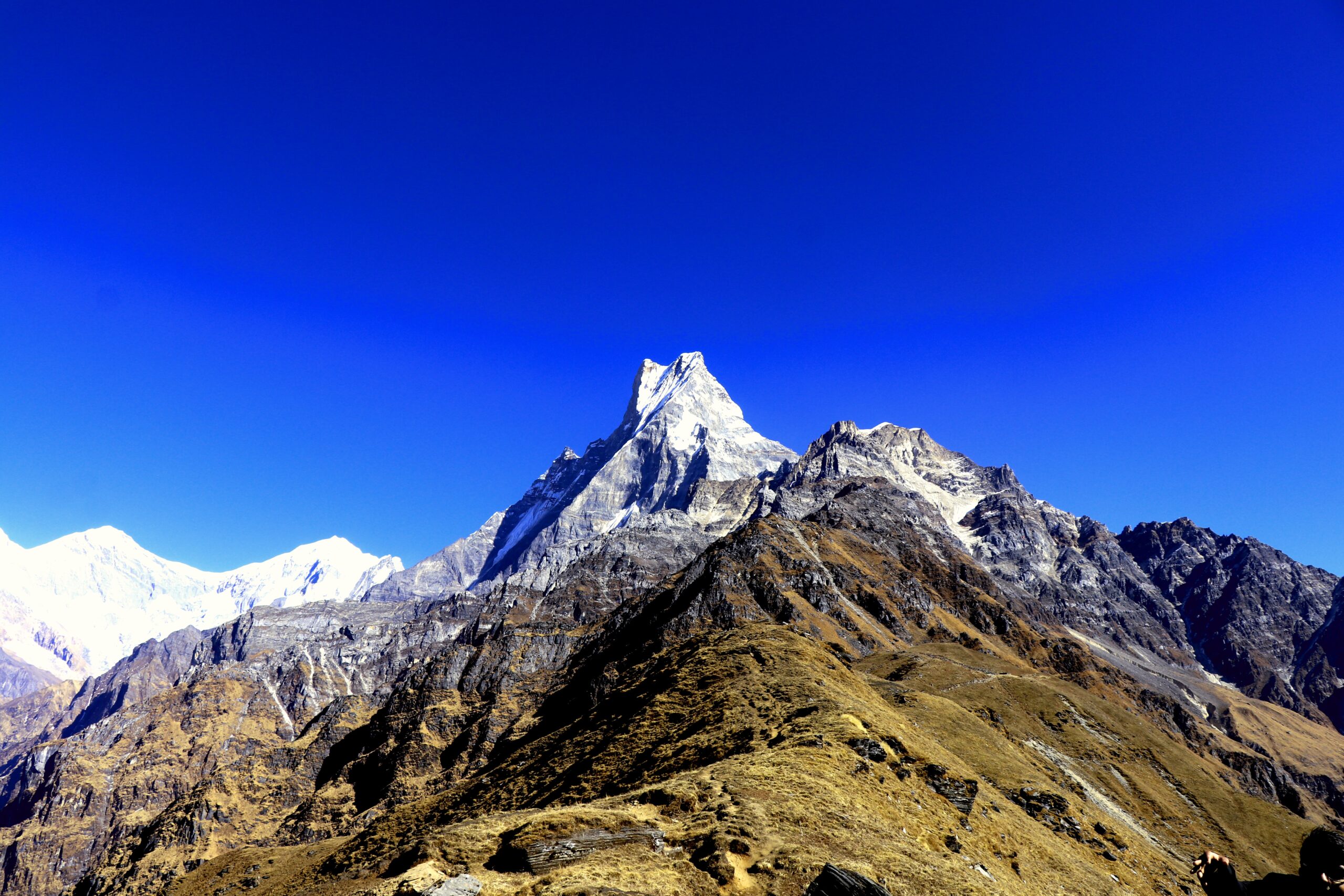 Mardi Himal Base Camp Trek image