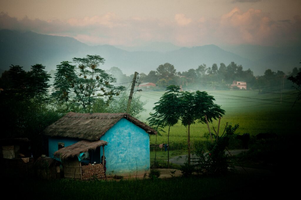 Chitwan (Family holidays in Nepal) PC: Raimond Klavins (unsplash)